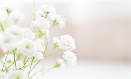 ファミリーホール港南台、TOPICSのご案内