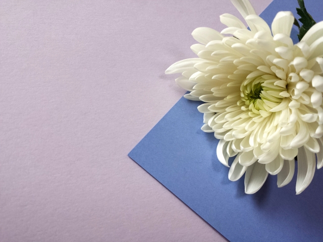 ファミリーホール港南台、改葬までの流れ・合祀墓へ納骨