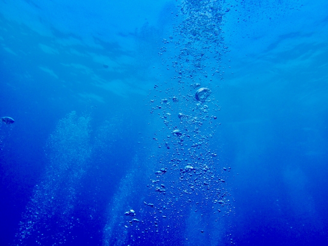 ファミリーホール港南台の海洋散骨、改葬までの流れ・海への散骨