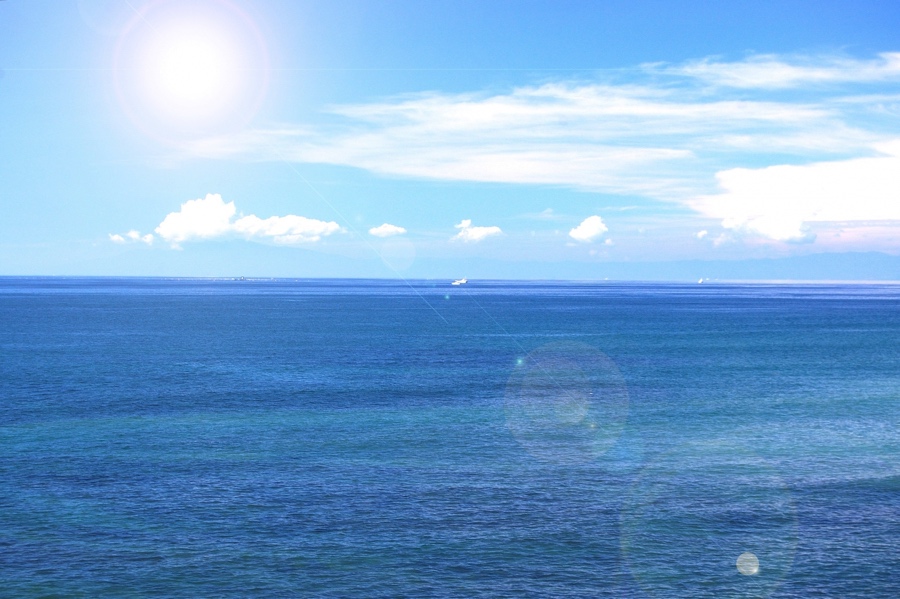 ファミリーホール港南台、委託散骨火葬プラン198,000円