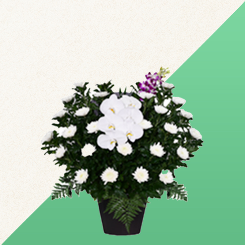 ファミリーホール港南台、供花・白菊16,500円