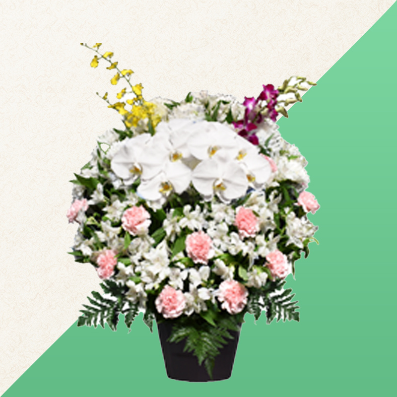 ファミリーホール港南台、供花・洋花【胡蝶蘭入】22,000円