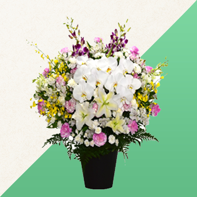 ファミリーホール港南台、供花・洋花【胡蝶蘭・百合入】 27,500円】22,000円