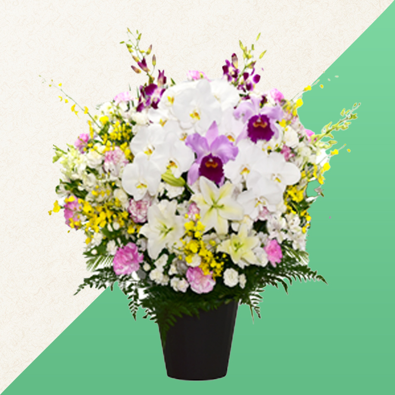 ファミリーホール港南台、供花・洋花【胡蝶蘭・百合・カトレア入】 33,000円
